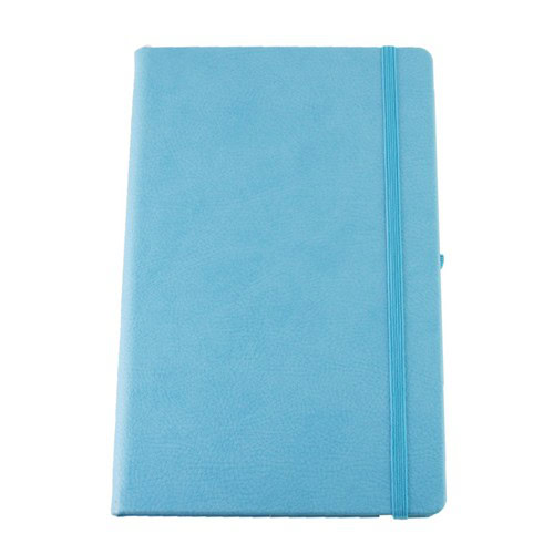 Defter Tarihsiz Çizgili 13X21 Cm 5702